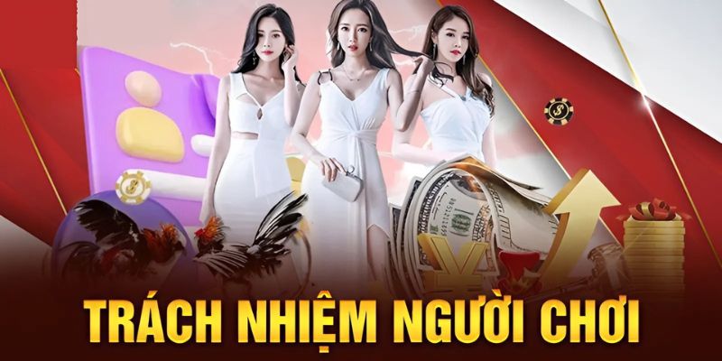 Hội viên tuân thủ những điều khoản Bet88