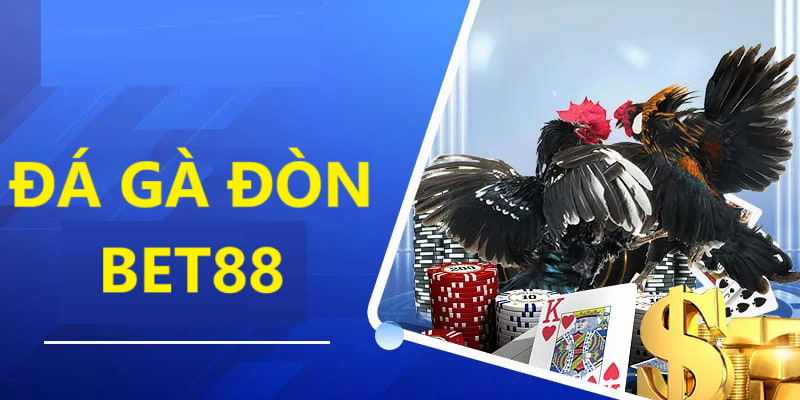 Đá gà đòn bet88 là hình thức chiến đấu rất được yêu thích tại nền tảng bởi sự độc lạ của nó. Bài viết khám phá loại hình chọi kê trực tuyến cực hot.