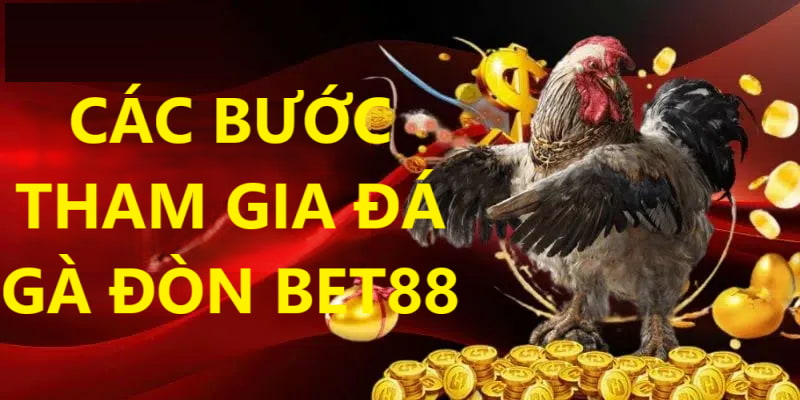 4 bước cơ bản để tham gia cá cược đá gà đòn tại bet88